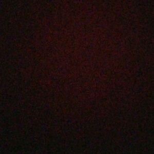 Meet your Posher, Bryan