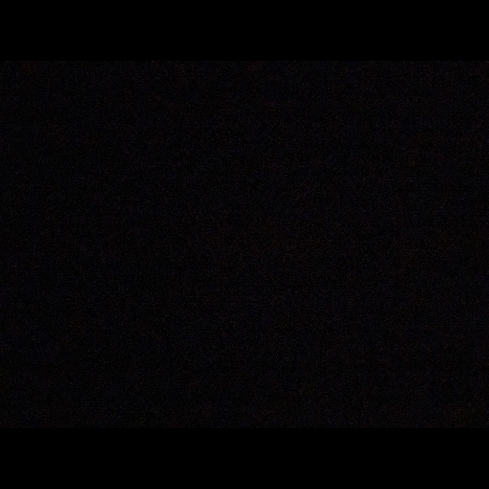 Meet your Posher, Sylvia