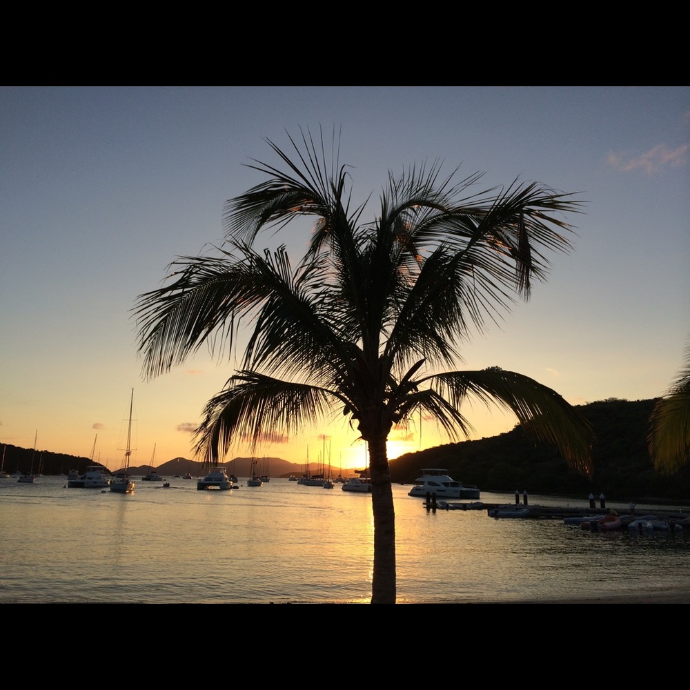 Meet your Posher, Ashleeann