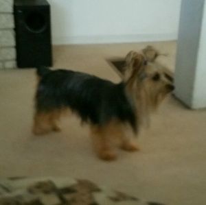 Meet your Posher, Loleta