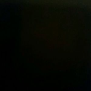 Meet your Posher, Alondra