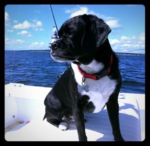 RiP to Jax my Poshmark Assistant Welcome LIZA!