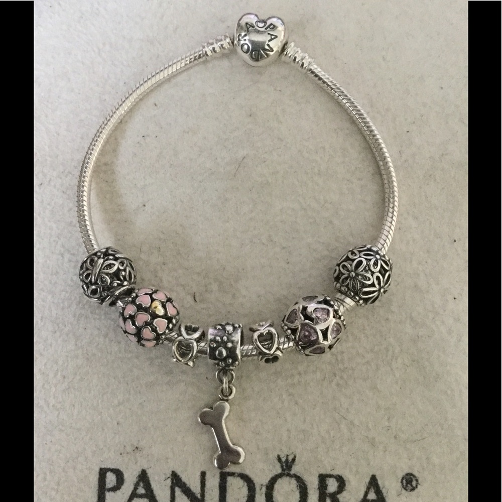 Calling all dog lovers Pandora bracelet