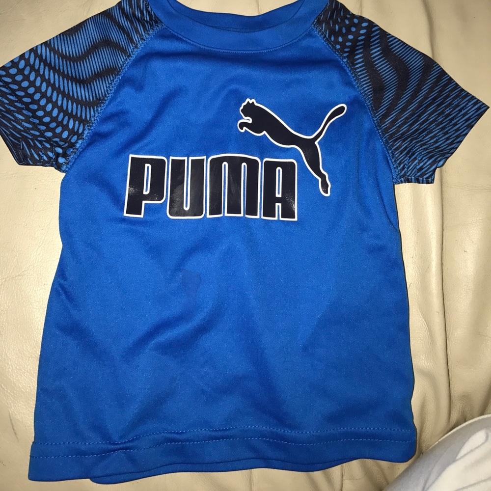 Blue puma