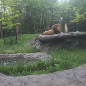 Meet your Posher, Laryl