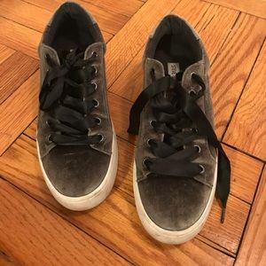 Steve Madden Bertie sneaker!