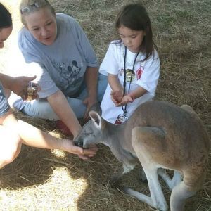 Meet your Posher, Juli