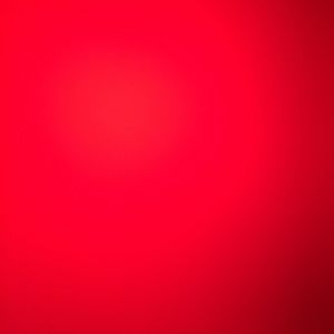 Meet your Posher, Torey