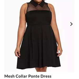 Black mesh collar ponte dress