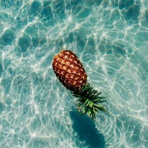 Meet your Posher, Bailey