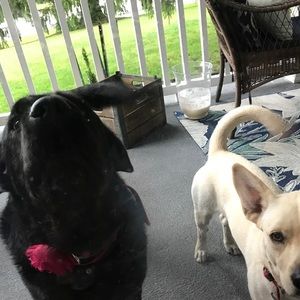 Meet your Posher, Stacy