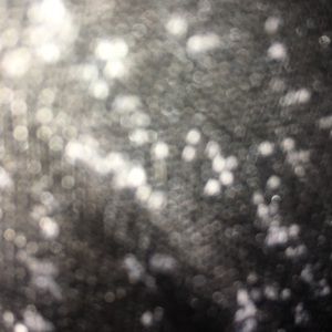 Meet your Posher, Shawna