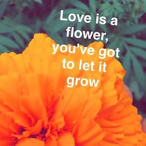 Meet your Posher, Ivan