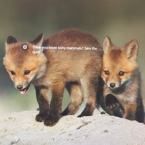 Meet your Posher, Alexa