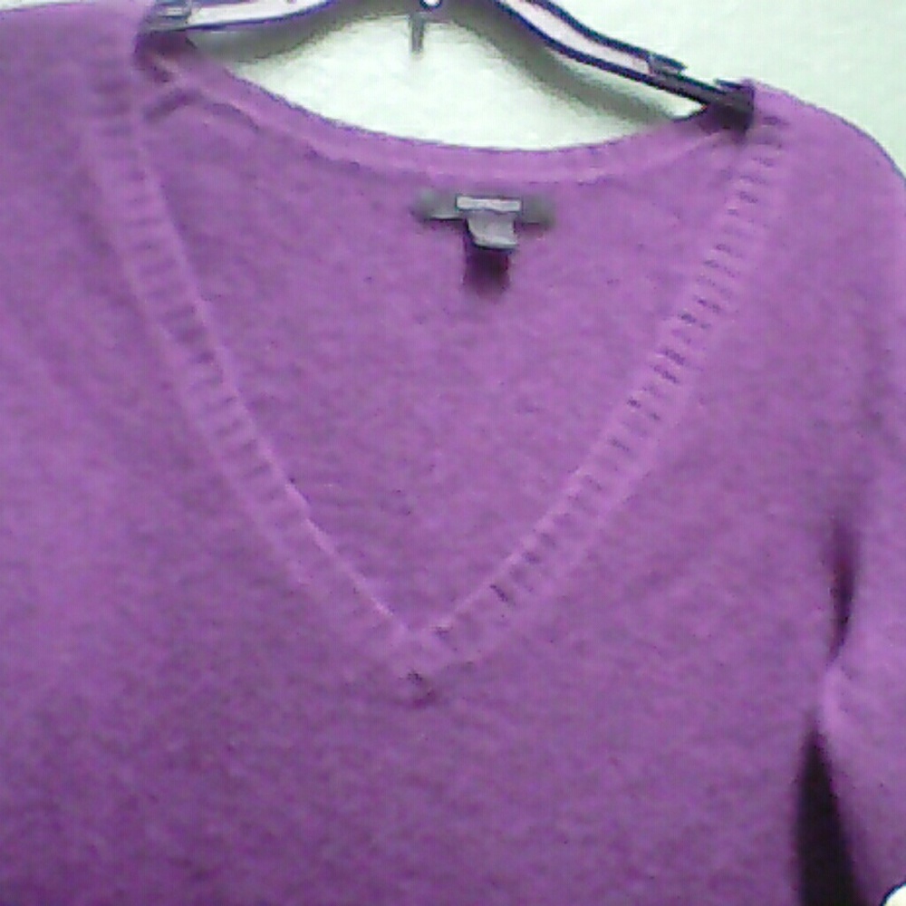 Express designer purple vneck sweater