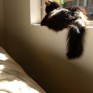 Meet your Posher, Binnie