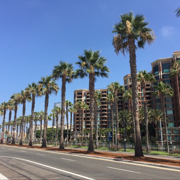 Meet your Posher, Jen - Picture 3 of 5