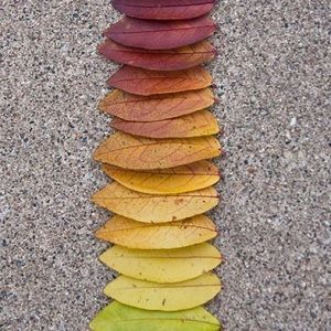 Meet your Posher, Marlen