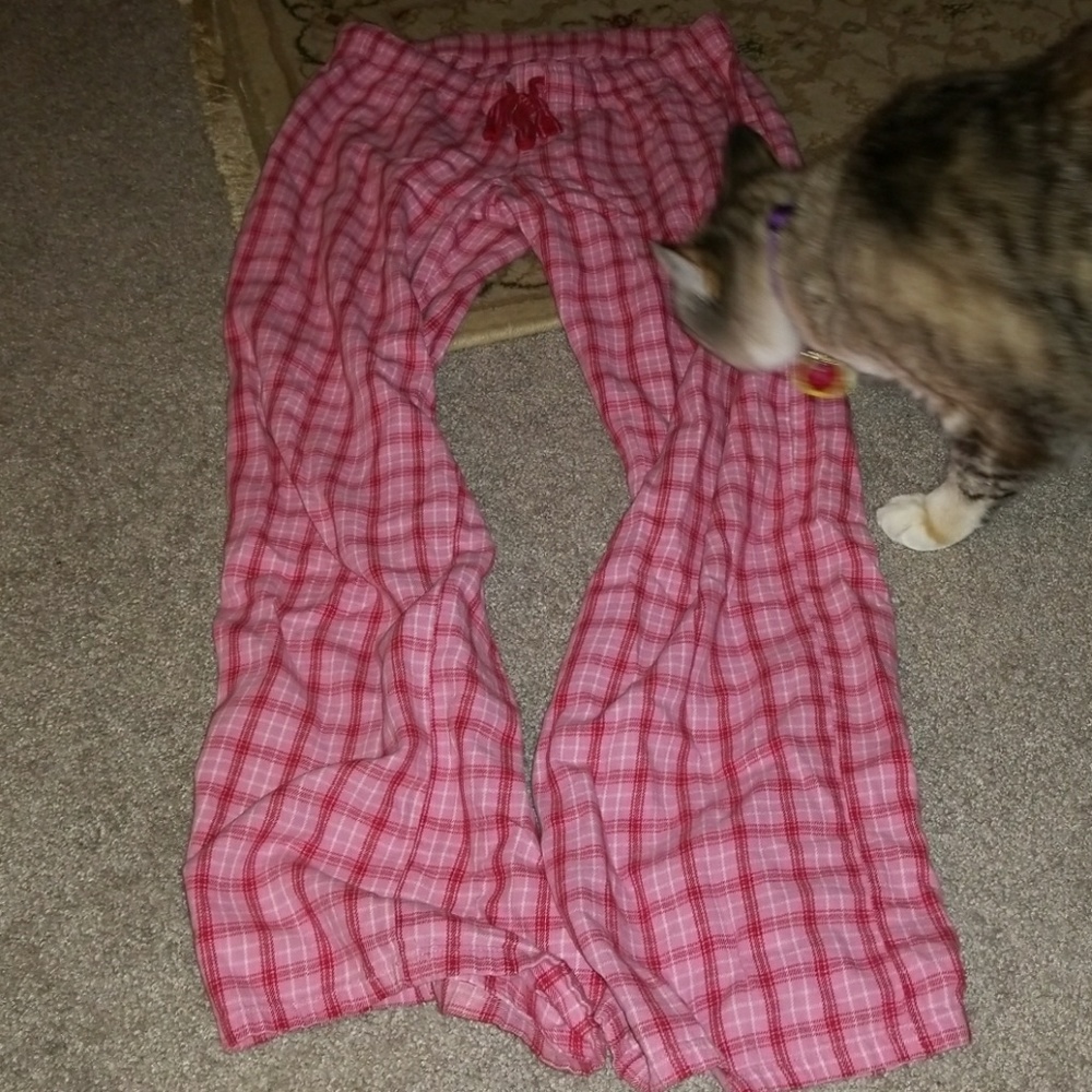 Pajama pants