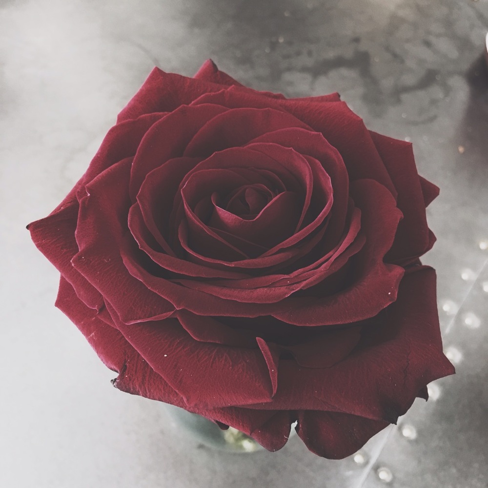 Meet your Posher, Elina