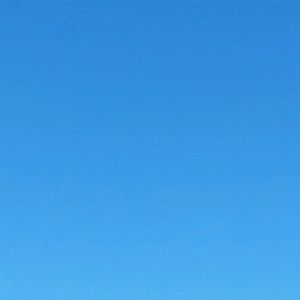 Meet your Posher, Yvette