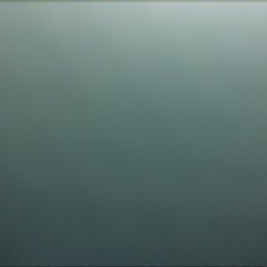 Meet your Posher, Maia