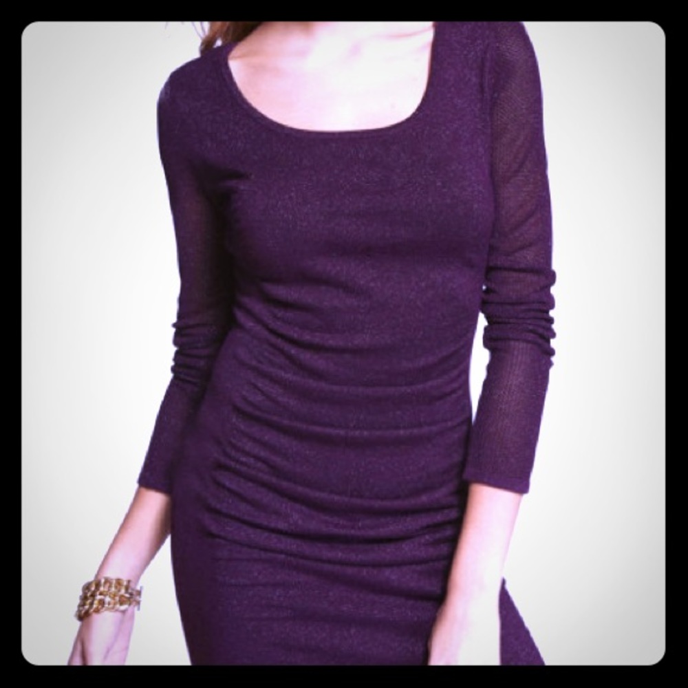 NWT Burgundy Express Dress