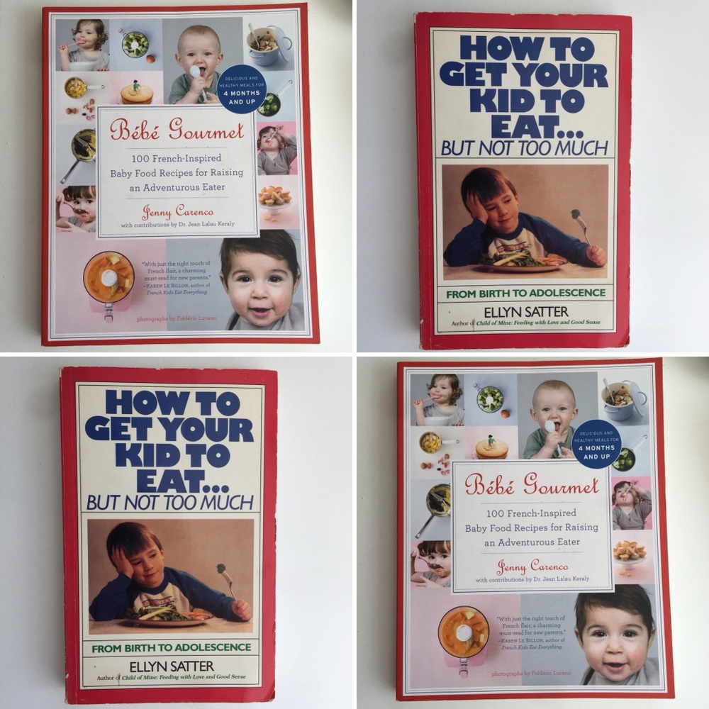 Books Bebe Gourmet How to Get Your Kid to Eat EUC