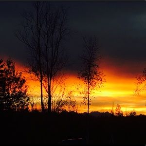 Meet your Posher, Hinna