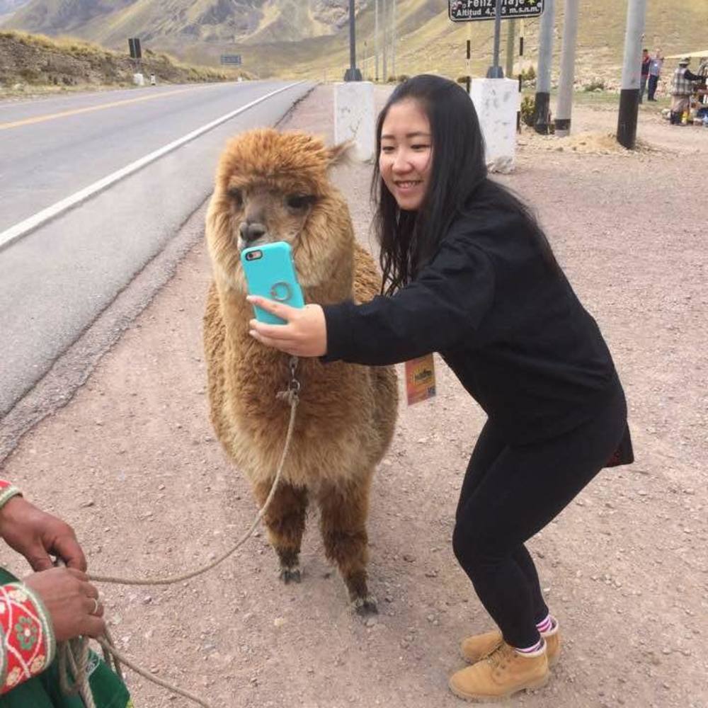 Meet your Posher, Yifei