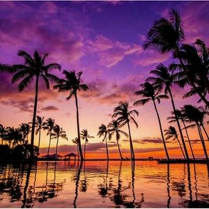 Meet your Posher, Larisa