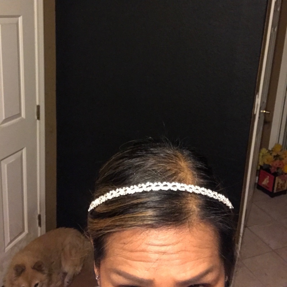 Beautiful tiara! - Picture 4 of 4