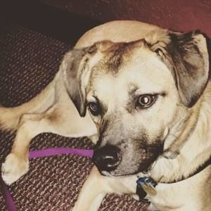 Meet your Posher, Hailey