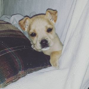 Meet your Posher, Renee