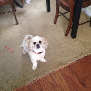 Meet your Posher, Regina