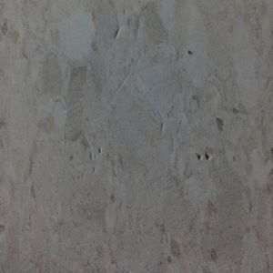 Meet your Posher, Billy