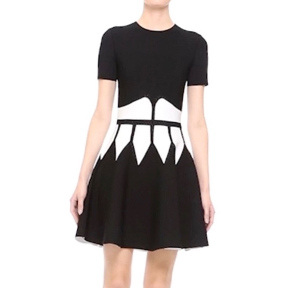 Alexander McQueen Intrasia Dress XL $2325 NEW