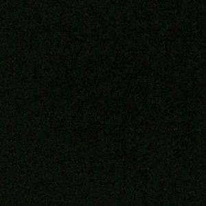 Meet your Posher, Nihad