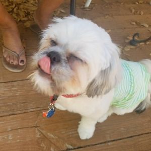 Meet your Posher, Jacqueline