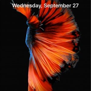 Meet your Posher, Lori