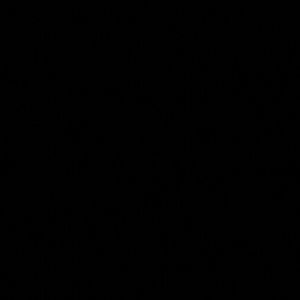 Meet your Posher, Amira