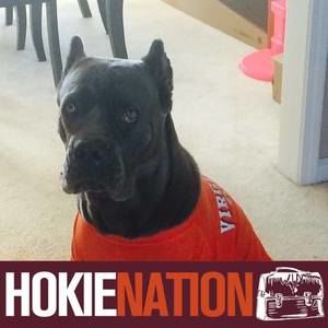 Meet your Posher, Teresa