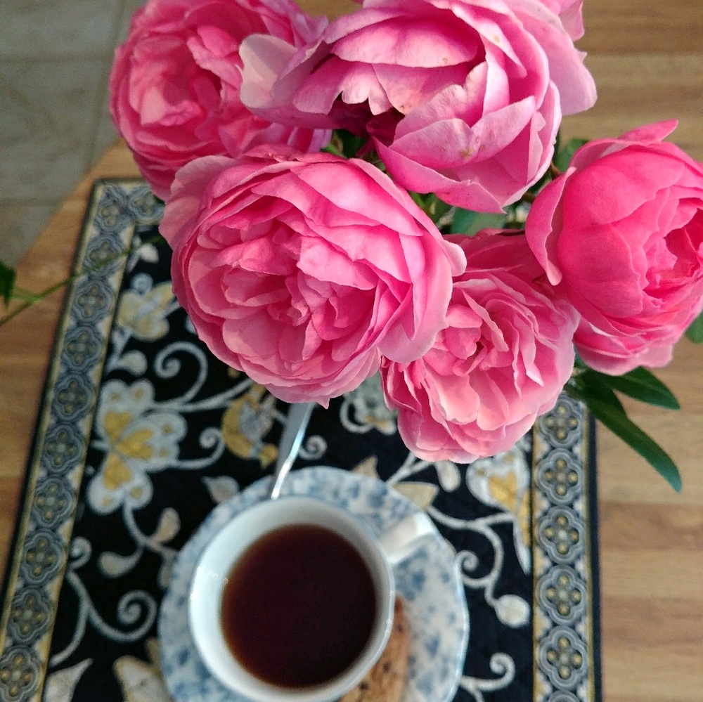 Meet your Posher, Bria!