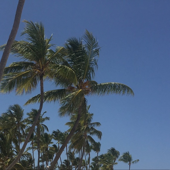 Meet your Posher, Edyta - Picture 1 of 1