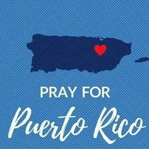 Meet your Posher, Terry