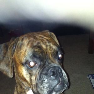 Meet your Posher, Addie