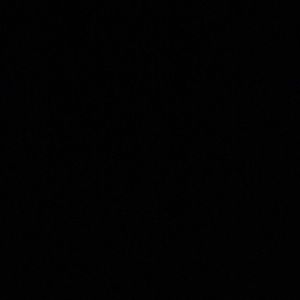 Meet your Posher, Madi