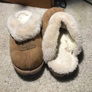 Chestnut ugg slippers