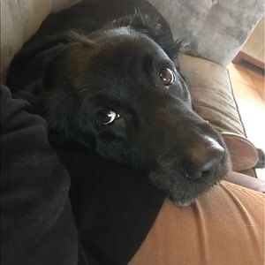 Meet your Posher, Julie