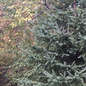 Meet your Posher, Jana